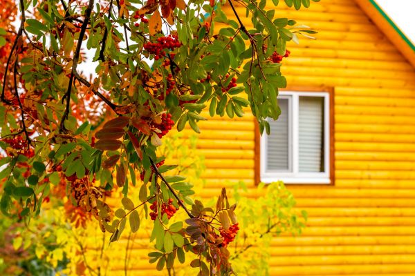 Garden Window Replacement in Decatur